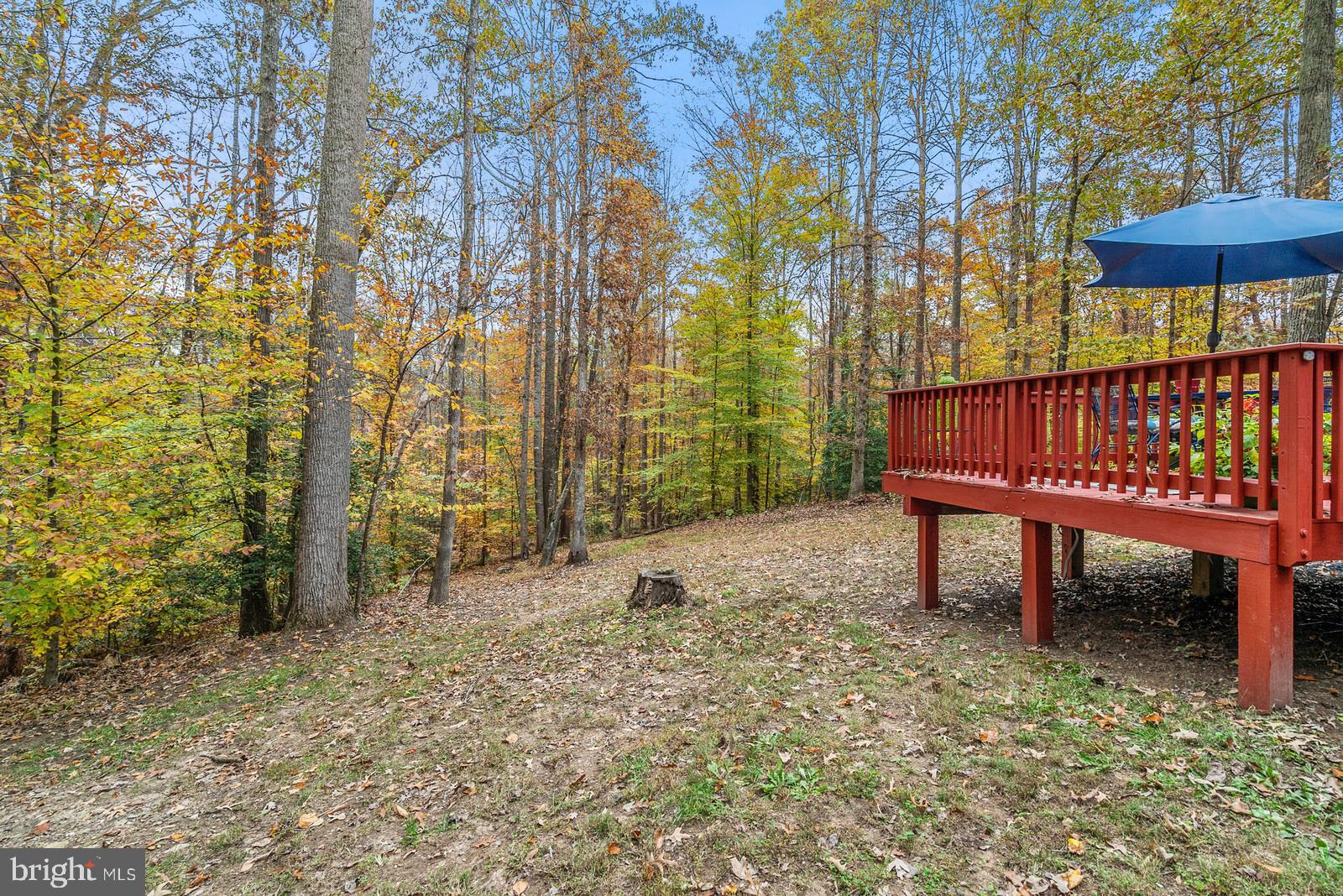 3109 Colvin Road Amissville, VA 20106 - Photo 23 of 28 backyard