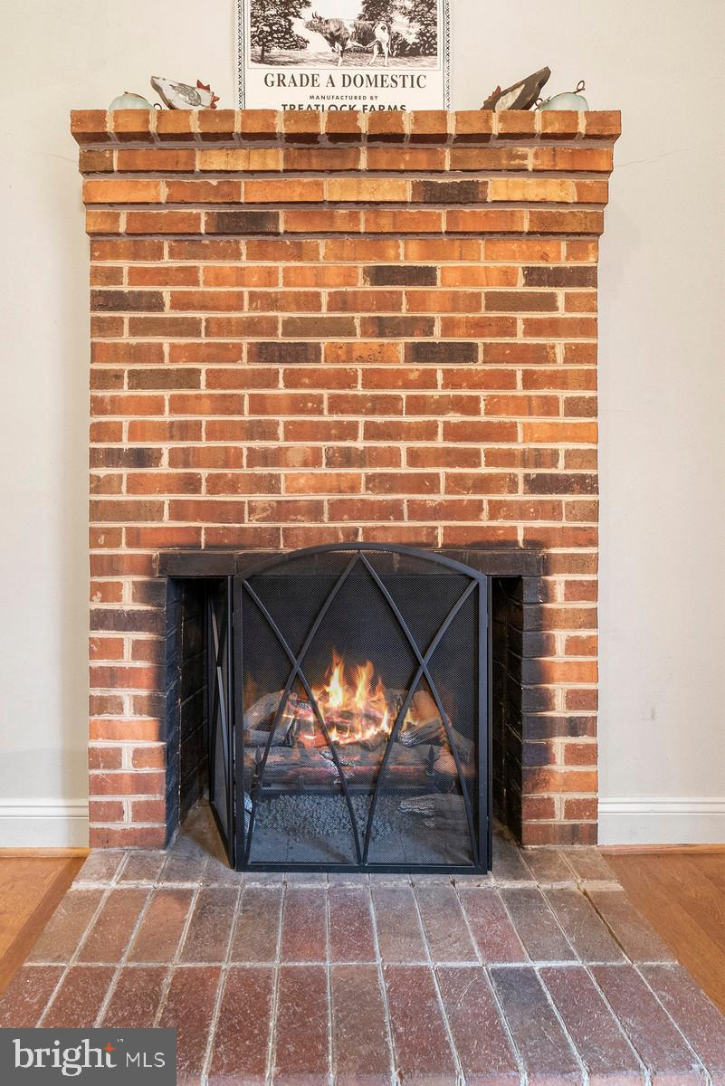 3109 Colvin Road Amissville, VA 20106 - Photo 10 of 28 fireplace