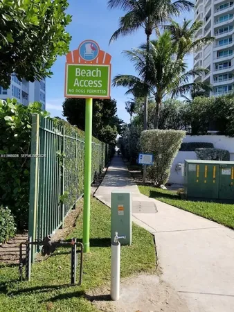 a view of a park with potted plants and tree