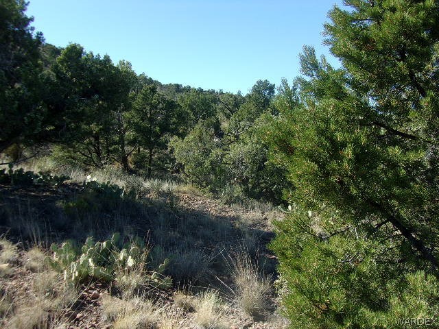 Lot 626 Austin Road Kingman, AZ 86401 - Photo 8 of 15 a view of a lake with top of house