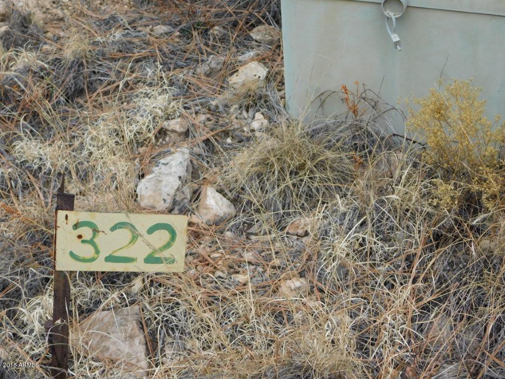 2950 Ranch House Road, Unit 322 Overgaard, AZ 85933 - Photo 2 of 14 DSCN0530