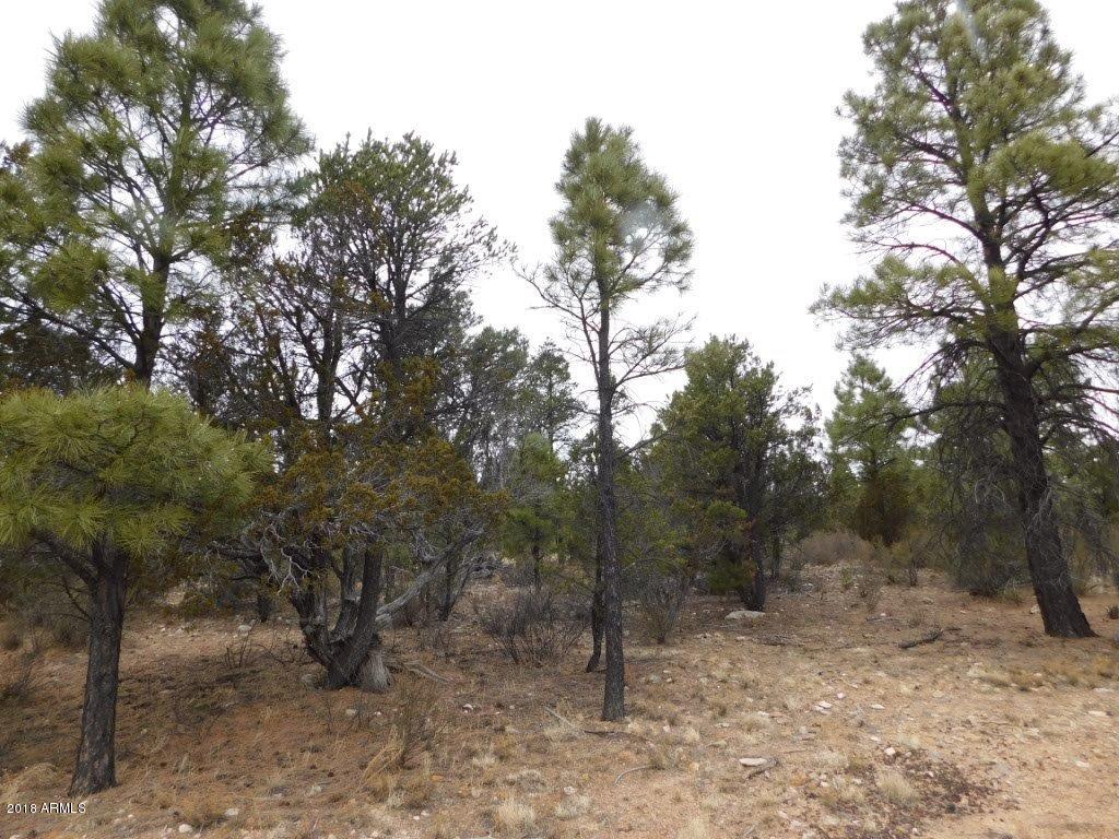 2950 Ranch House Road, Unit 322 Overgaard, AZ 85933 - Photo 8 of 14 DSCN0537