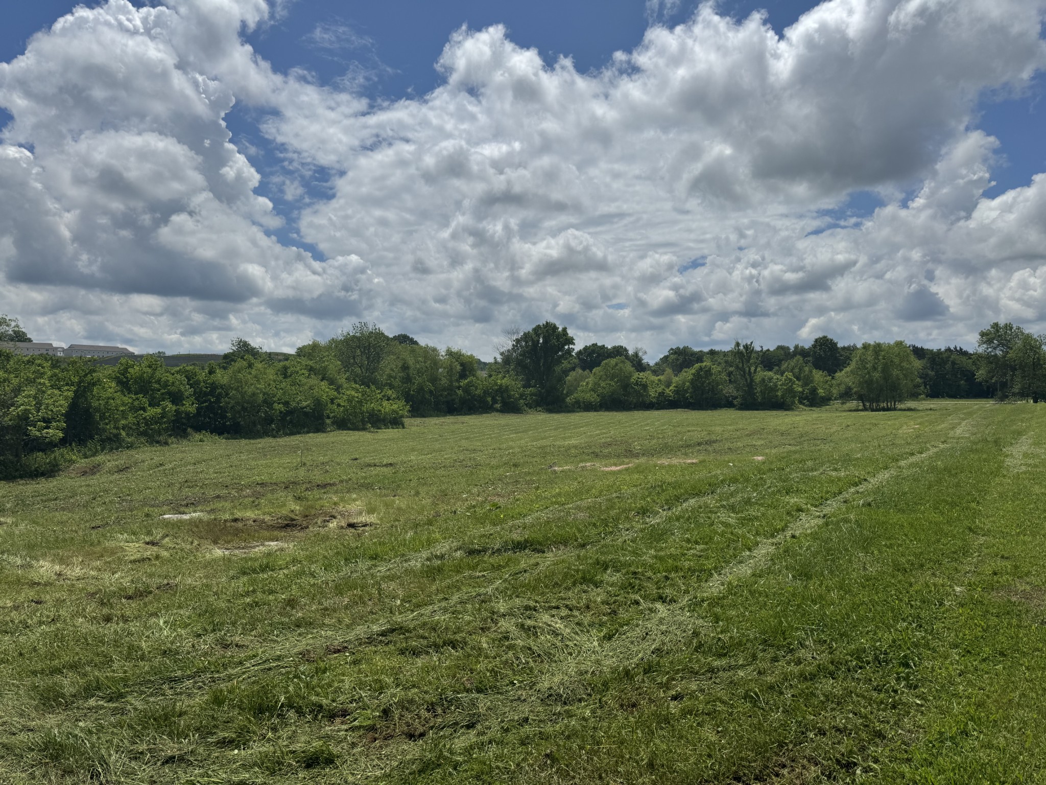 755 Callis Road Lebanon, TN 37090 - Photo 3 of 7