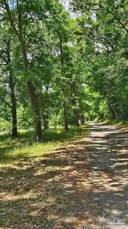 $160,000 | Lot 8 Aubrey Lane, Pace, FL 32571