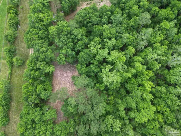 $160,000 | Lot 8 Aubrey Lane, Pace, FL 32571