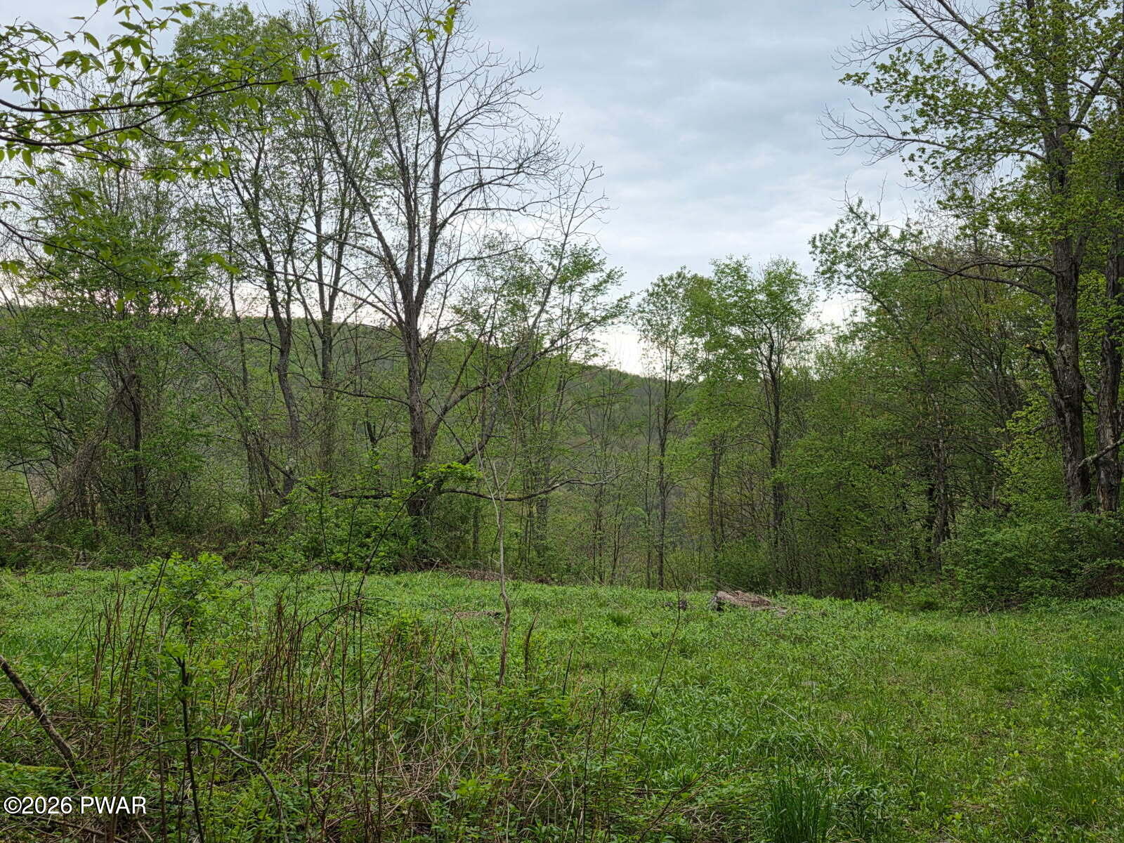 33 Bucks Road Susquehanna, PA 18847 - Photo 2 of 18