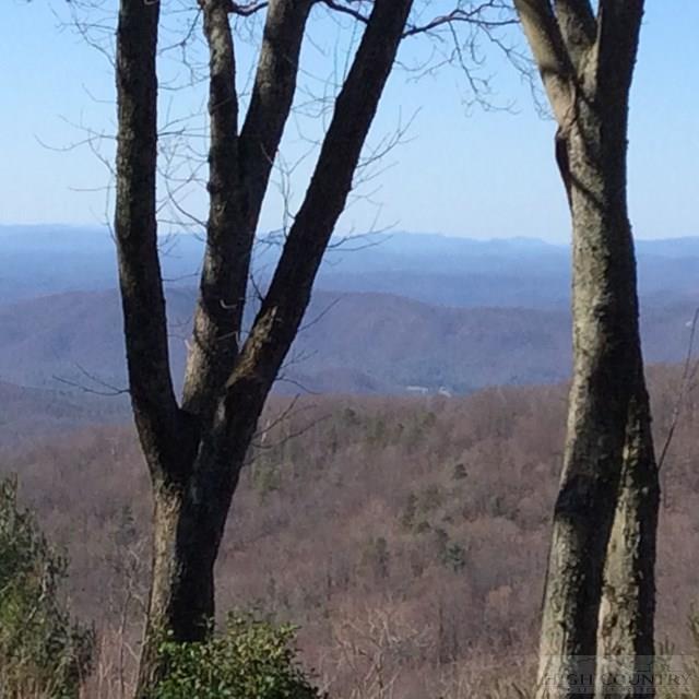 493 Ridge Road Glade Valley, NC 28627 - Photo 8 of 21 Gallery Image 8