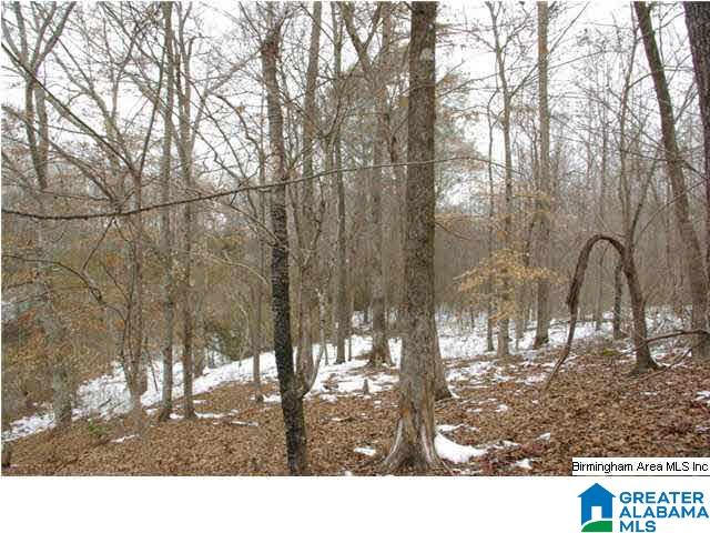 33 County Road, Unit 48 Oneonta, AL 35121 - Photo 21 of 33