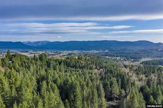 26662 Fern Ridge Road Sweet Home, OR 97386 - Photo 7 of 35 Additional Photo