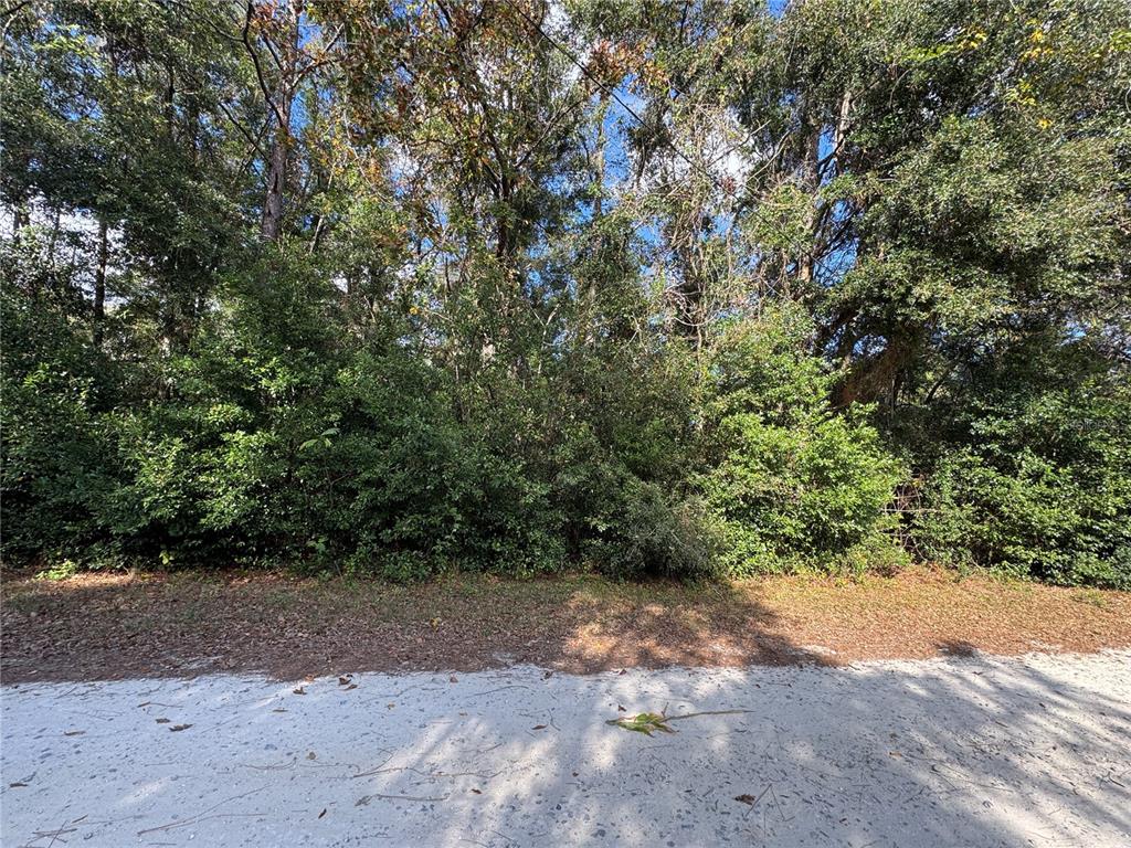 4810 East Doeskin Loop Inverness, FL 34452 - Photo 1 of 1 Gallery Image 1