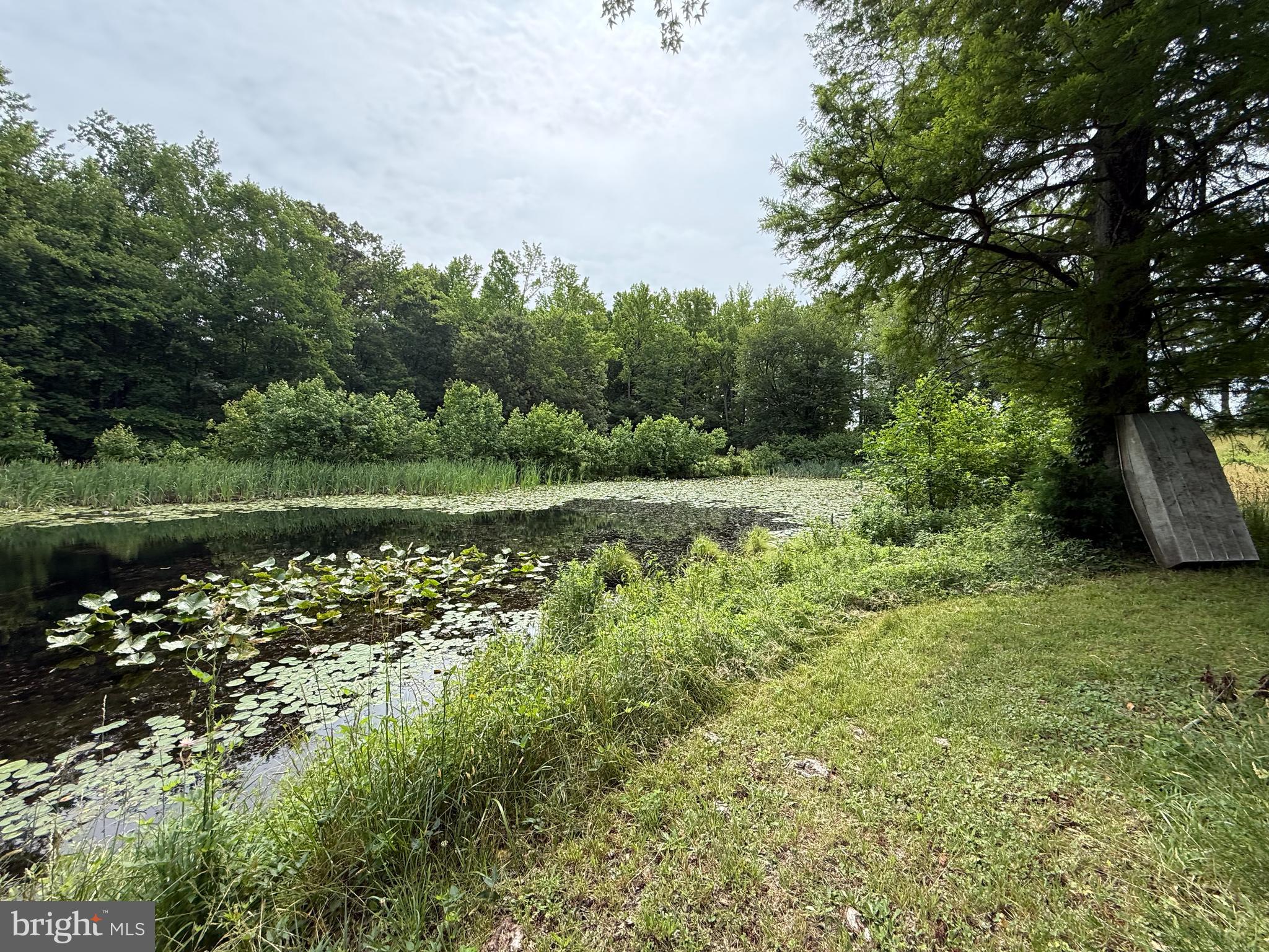 204 Alloway Aldine Road Woodstown, NJ 08098 - Photo 13 of 19