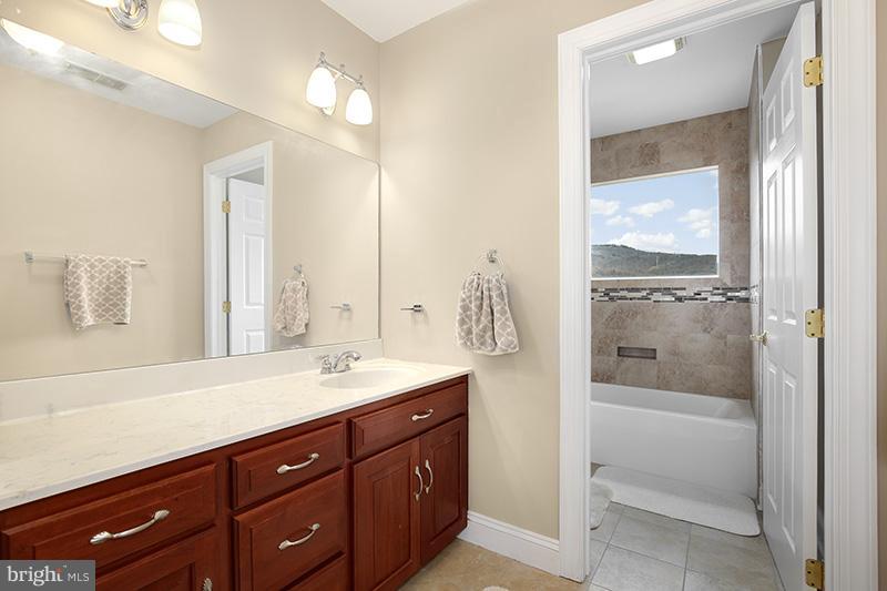 4320 Valley View Road Middletown, MD 21769 - Photo 21 of 30 a bathroom with a sink a mirror and a shower