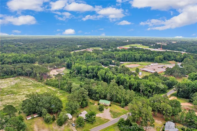 an aerial view of residential houses with outdoor space and trees