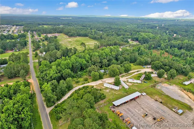 an aerial view of residential houses with outdoor space and trees