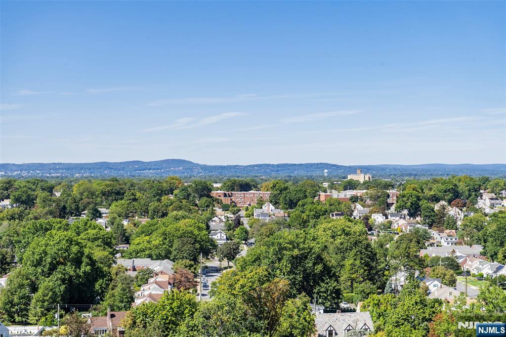 307 Prospect Avenue, Unit 14D Hackensack, NJ 07601 - Photo 9 of 18 a view of a city with lush green forest