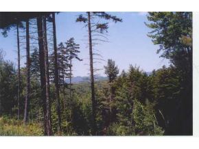 D-1 Farr Hill Road Stowe, VT 05672 - Photo 1 of 1
