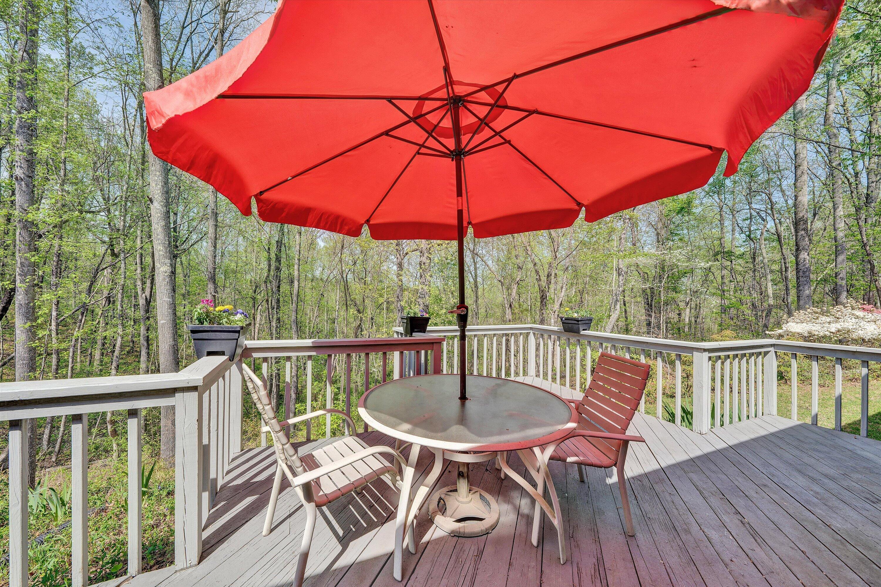 1124 Old Hollow Road Buchanan, VA 24066 - Photo 37 of 73 a view of a chair and table on the deck