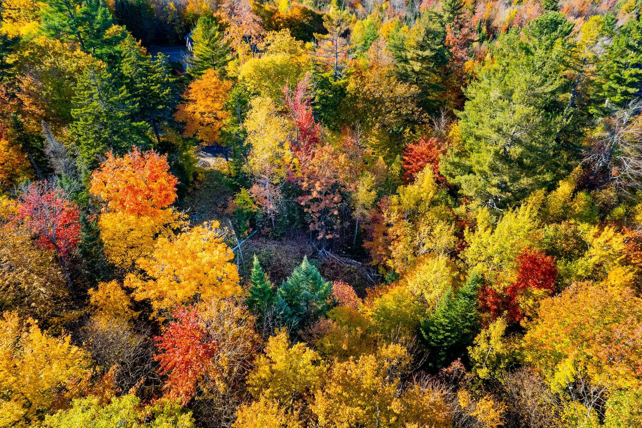 0 Summit Road, Unit LOT 23 New London, NH 03257 - Photo 12 of 21