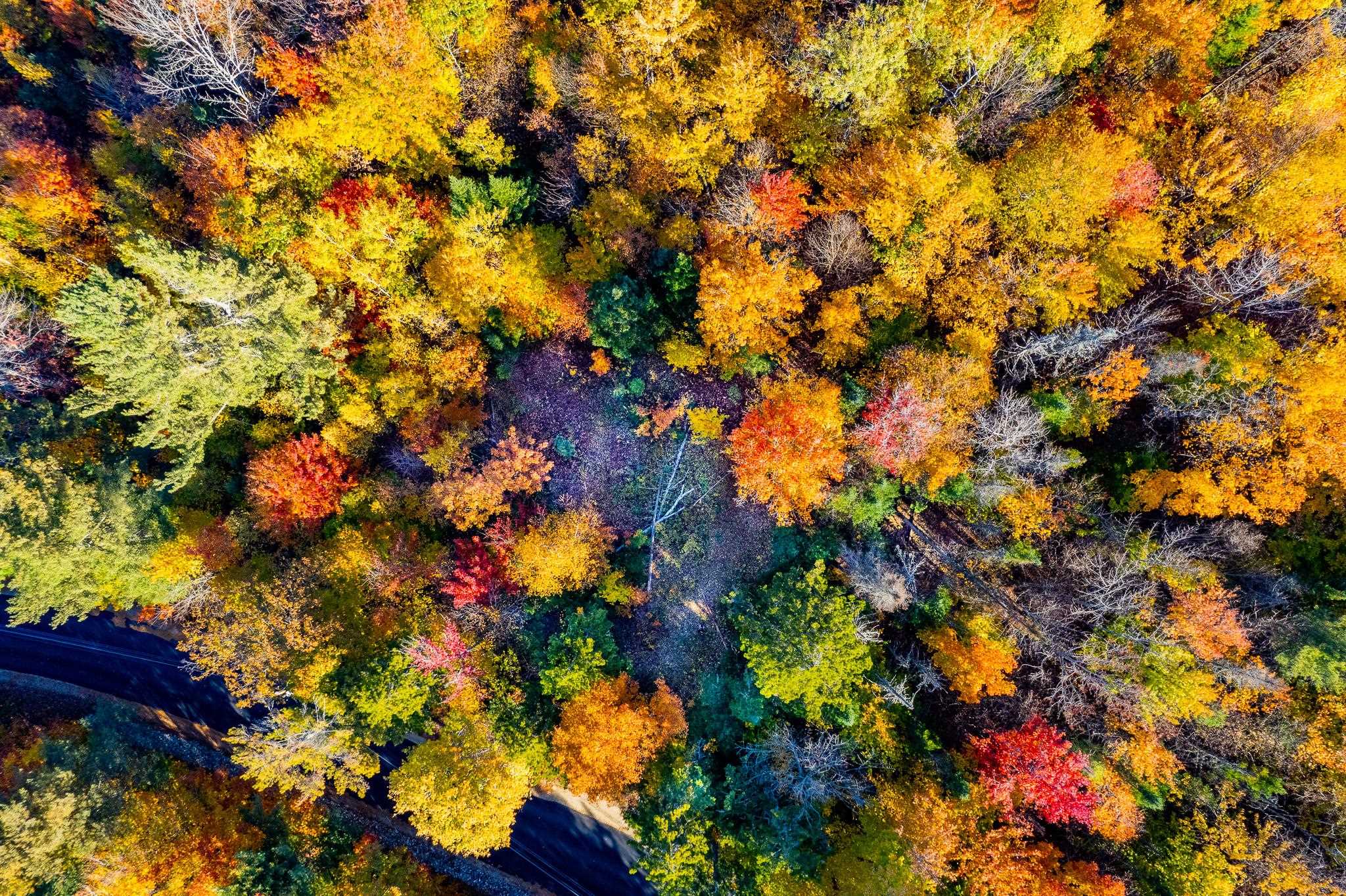 0 Summit Road, Unit LOT 23 New London, NH 03257 - Photo 14 of 21