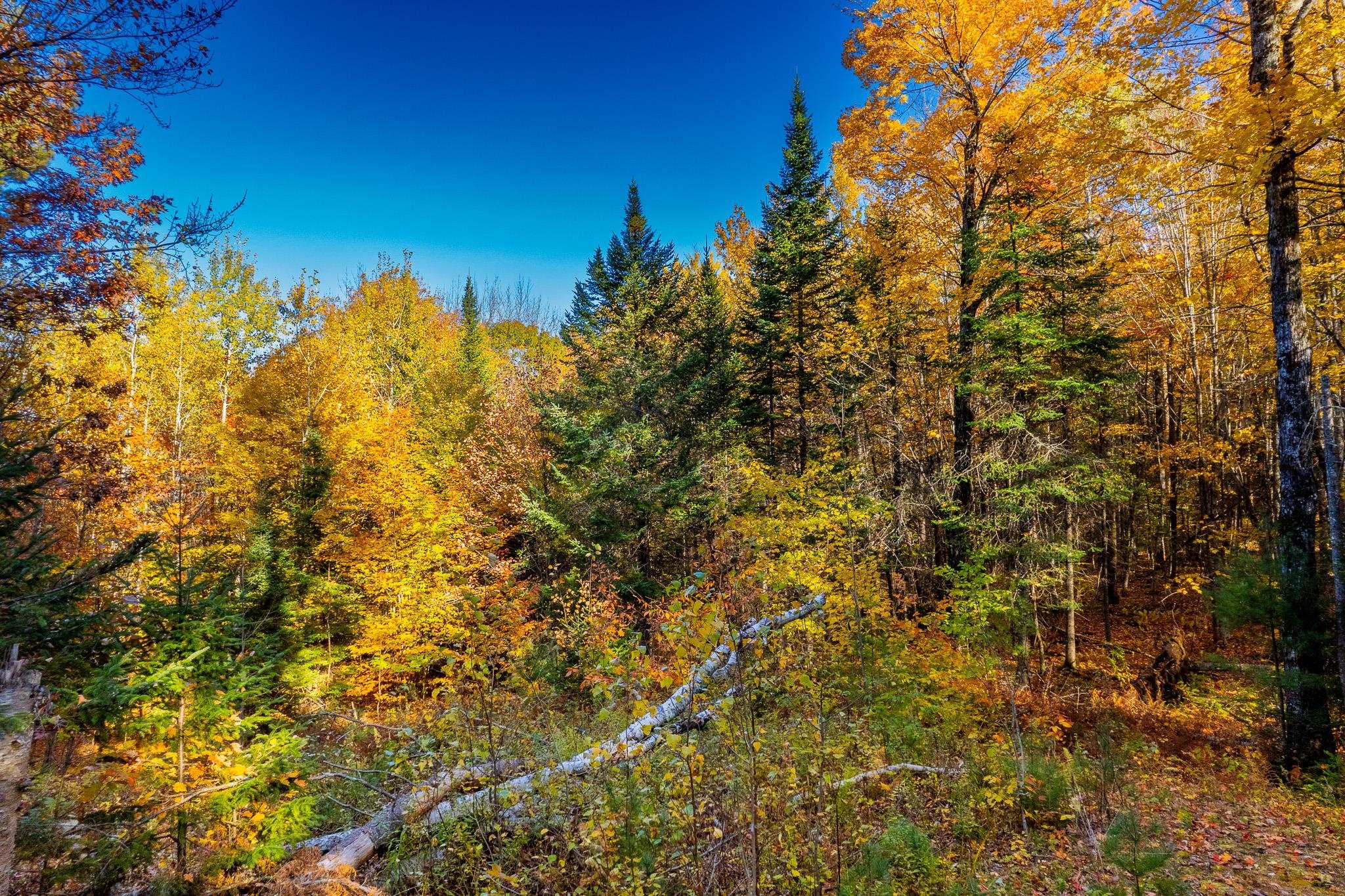 0 Summit Road, Unit LOT 23 New London, NH 03257 - Photo 16 of 21