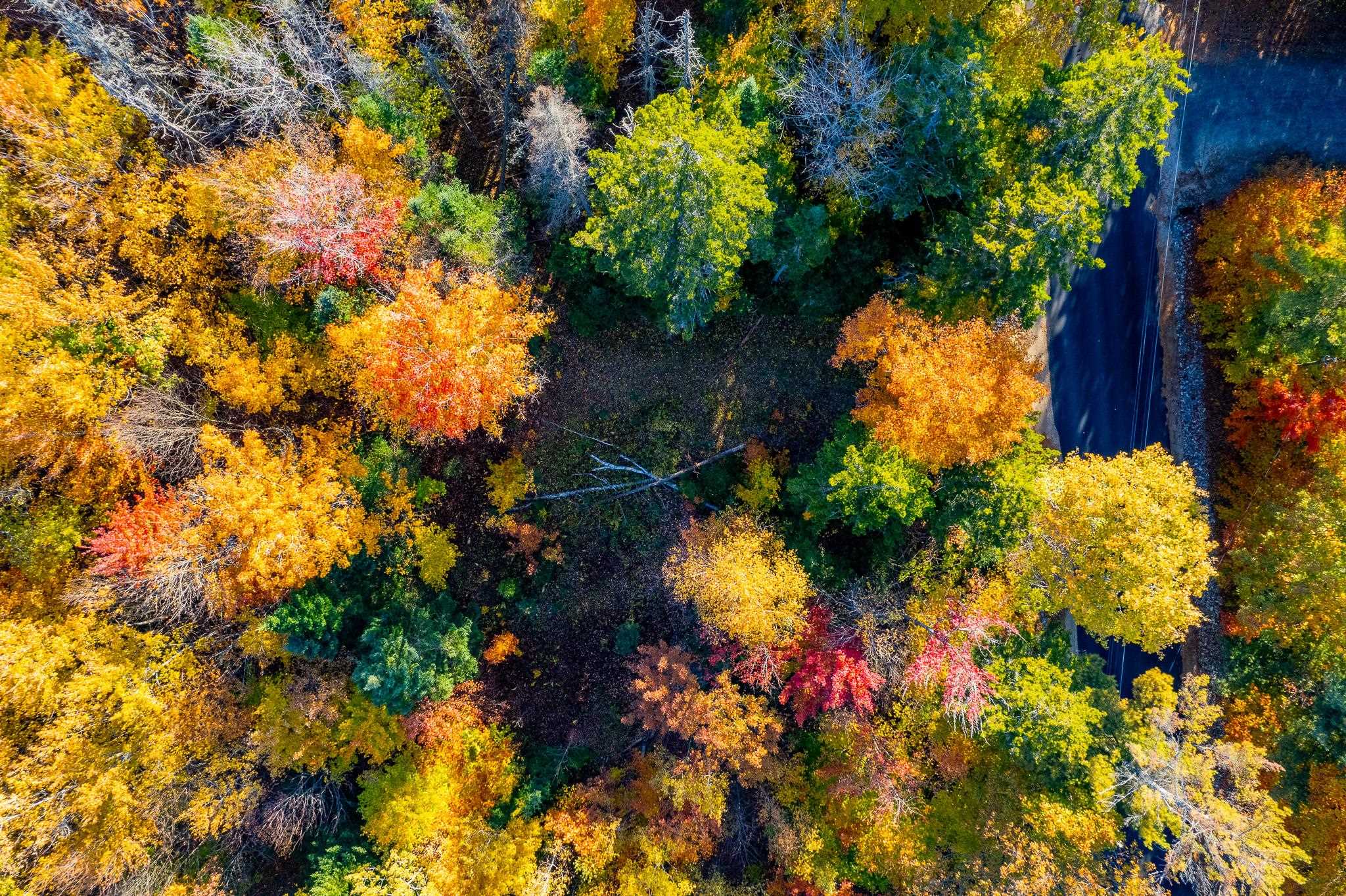 0 Summit Road, Unit LOT 23 New London, NH 03257 - Photo 8 of 21