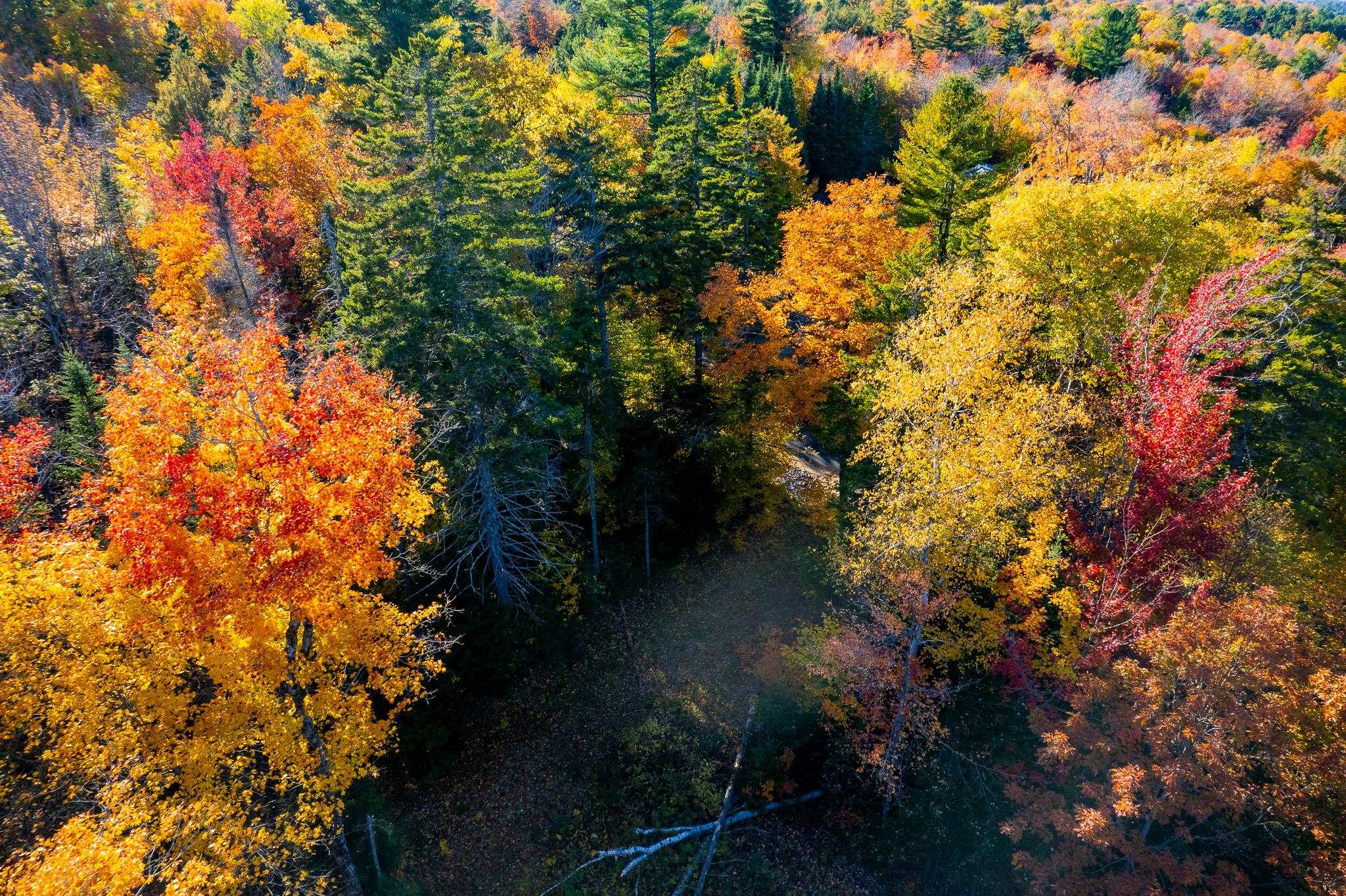 0 Summit Road, Unit LOT 23 New London, NH 03257 - Photo 10 of 21