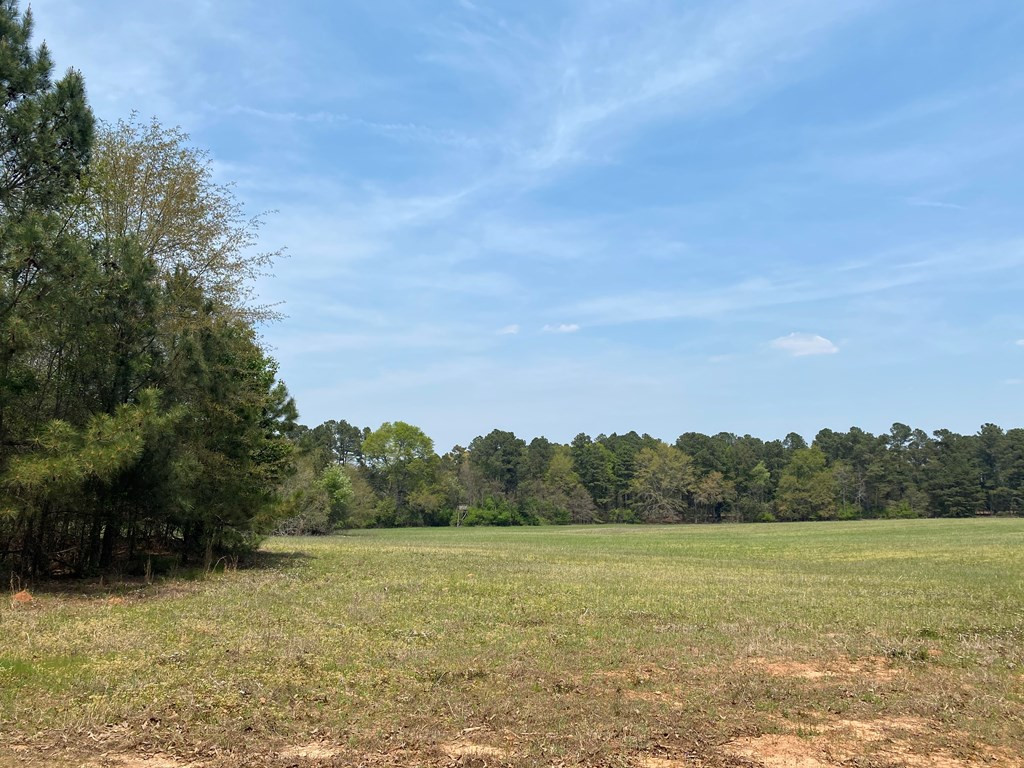 0 Banks Mill Road Southeast North Augusta, SC 29860 - Photo 7 of 11