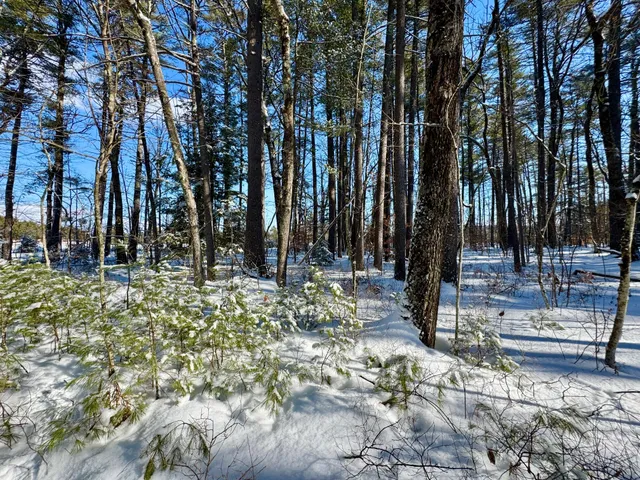 $150,000 | Tbd Swans Falls Road, Unit LOT A, Fryeburg, ME 04037