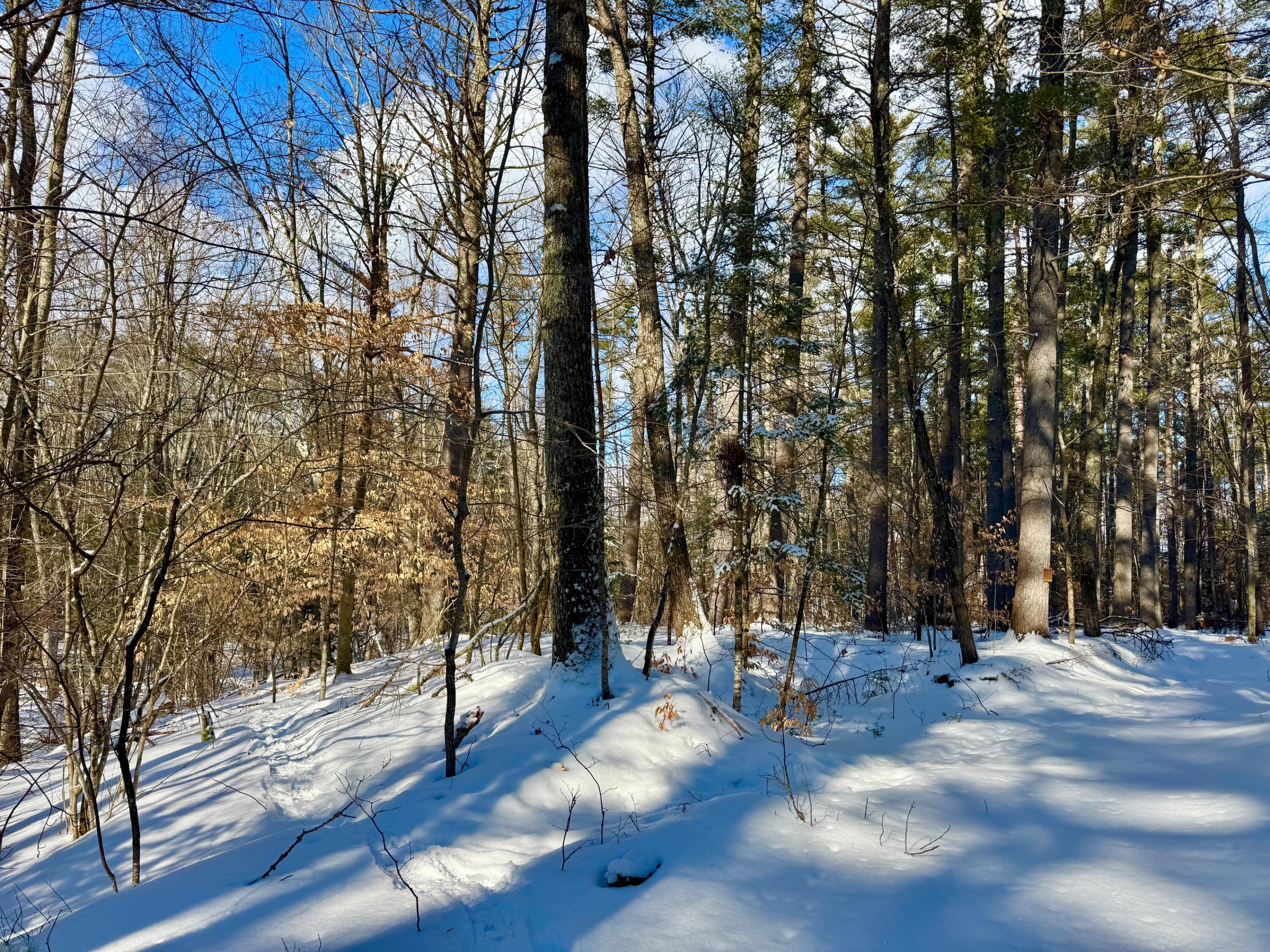 Tbd Swans Falls Road, Unit LOT A Fryeburg, ME 04037 - Photo 11 of 19 Lot A showing the slope