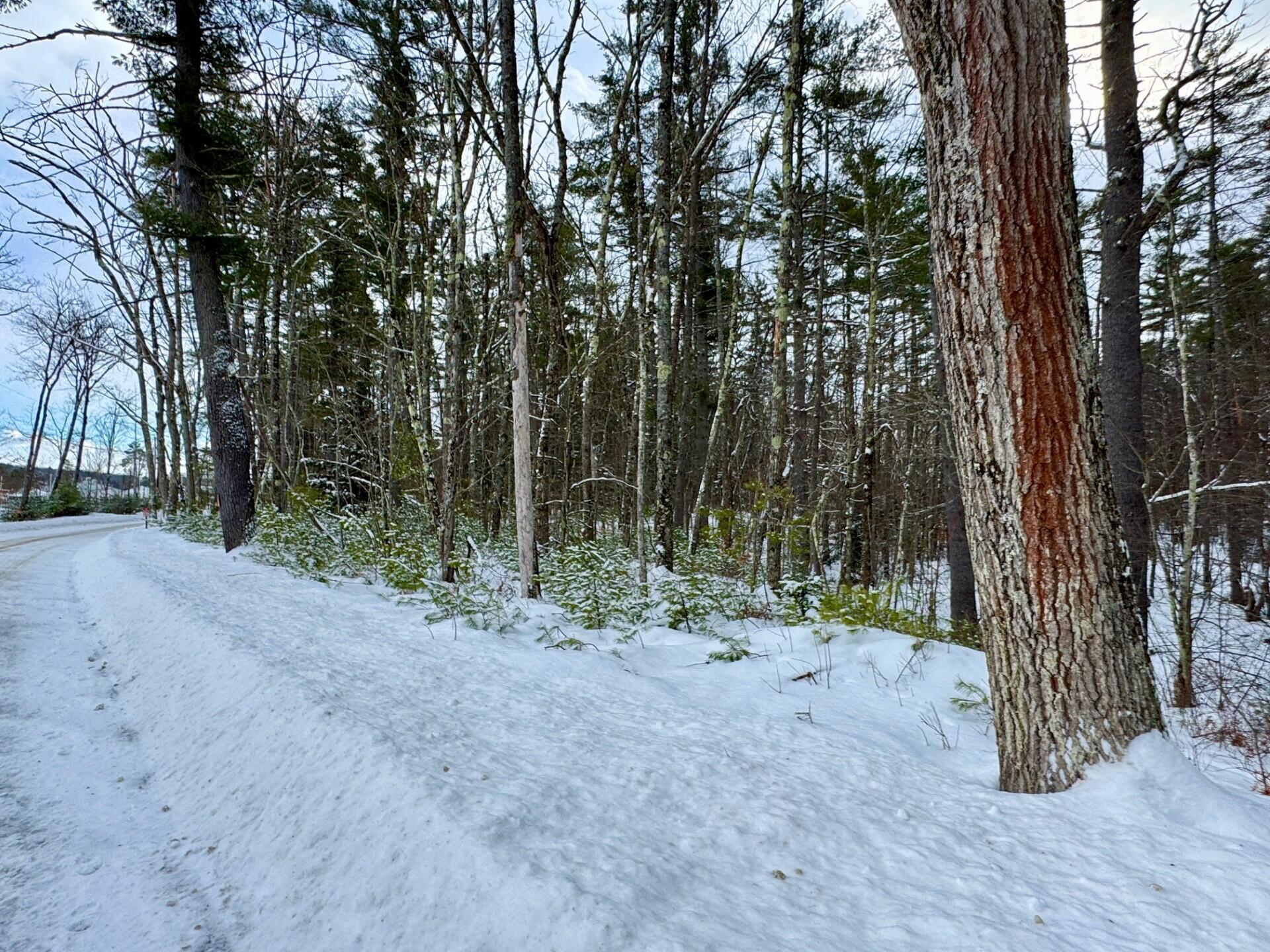 Tbd Swans Falls Road, Unit LOT A Fryeburg, ME 04037 - Photo 12 of 18 Lot A from Road
