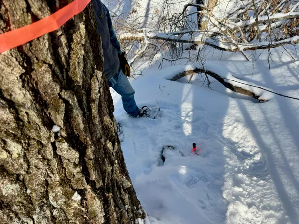 $150,000 | Tbd Swans Falls Road, Unit LOT A, Fryeburg, ME 04037