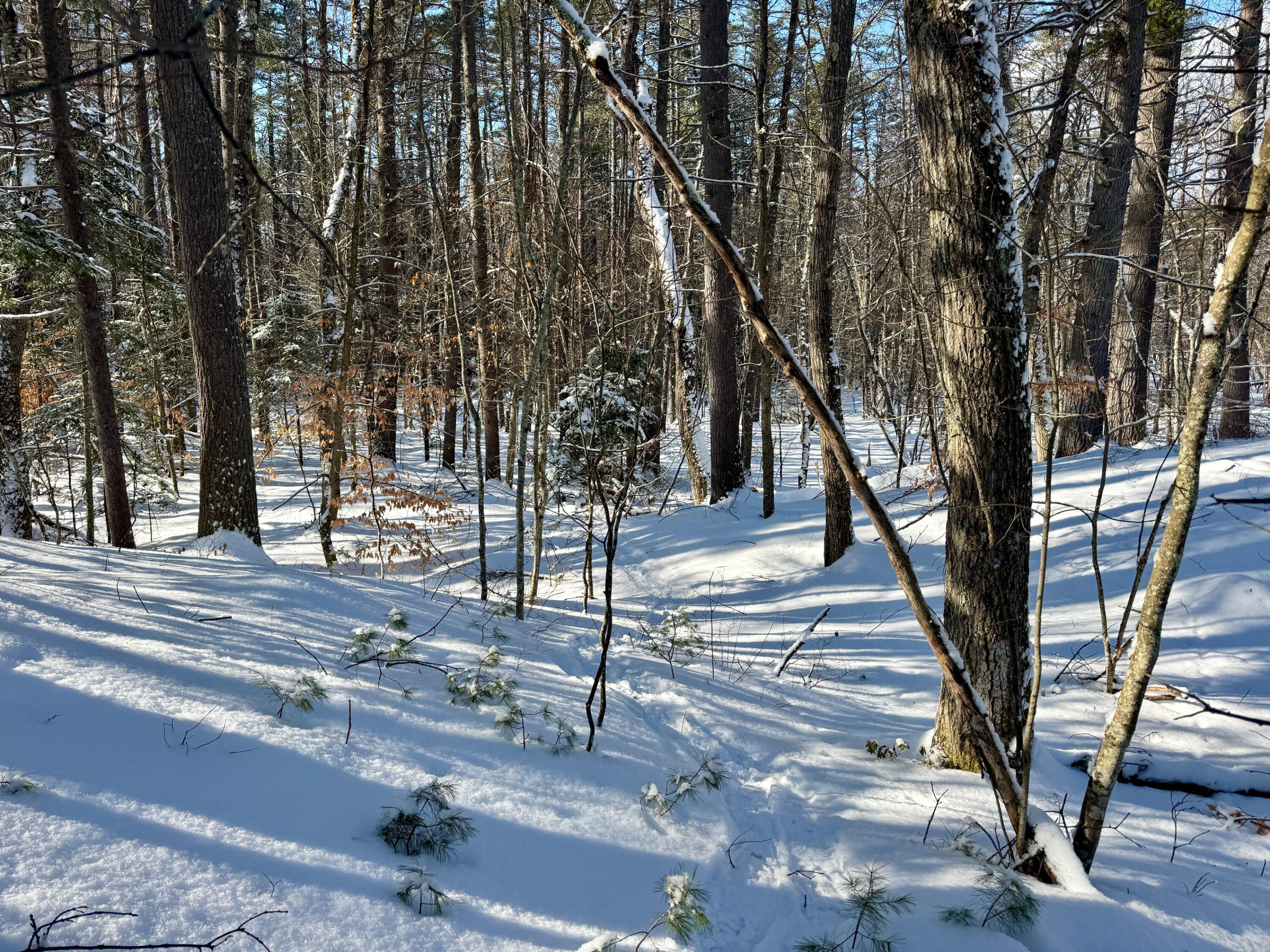 Tbd Swans Falls Road, Unit LOT A Fryeburg, ME 04037 - Photo 5 of 19 Lot A 2