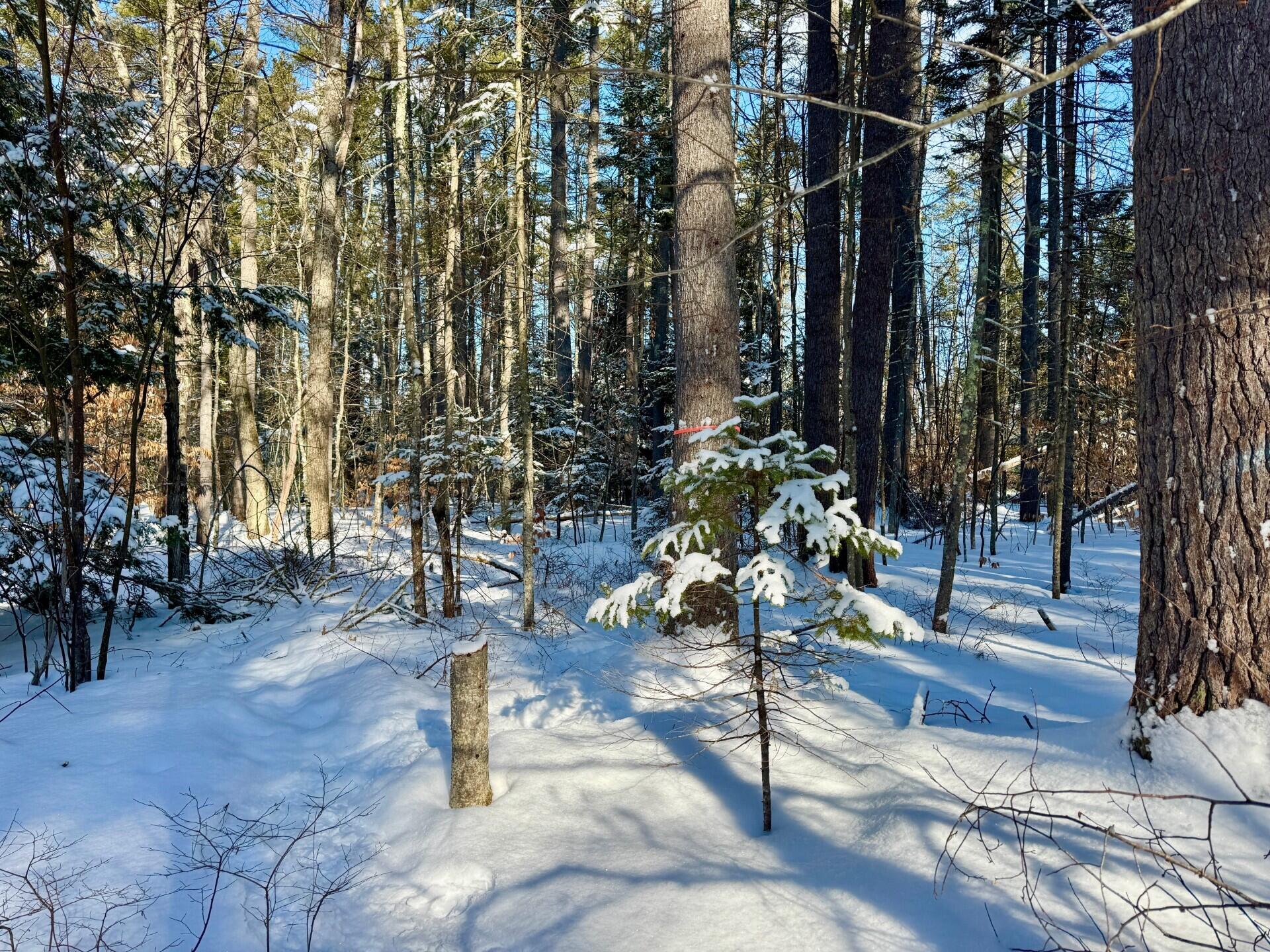 Tbd Swans Falls Road, Unit LOT A Fryeburg, ME 04037 - Photo 7 of 18 Lot A Another nice building site - oran