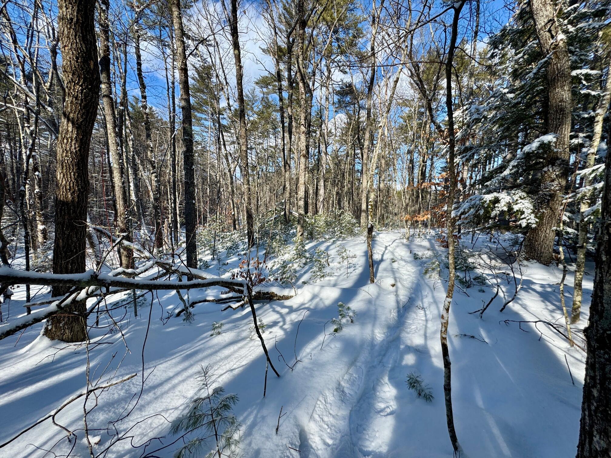 Tbd Swans Falls Road, Unit LOT A Fryeburg, ME 04037 - Photo 8 of 18 Lot A 1