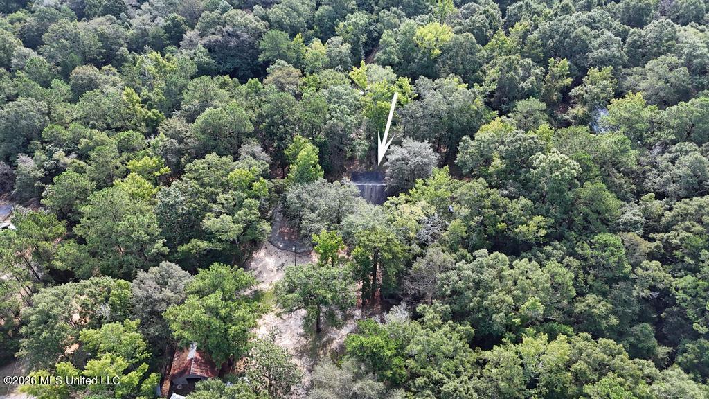 20901 Busby Road Vancleave, MS 39565 - Photo 36 of 37 038