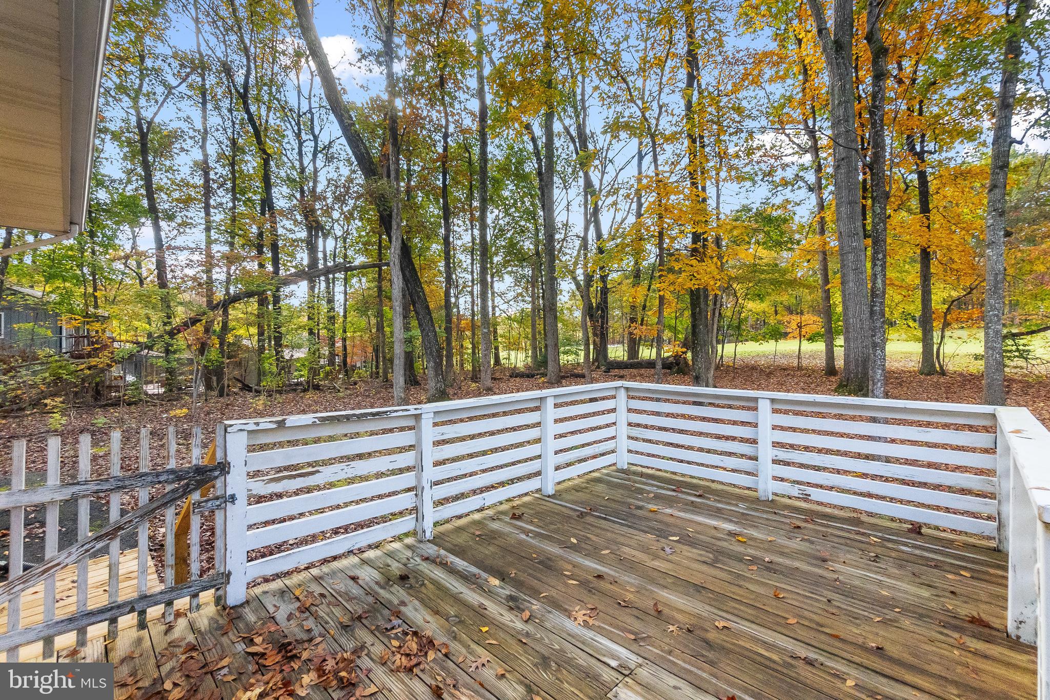 416 Birdie Road Locust Grove, VA 22508 - Photo 35 of 55