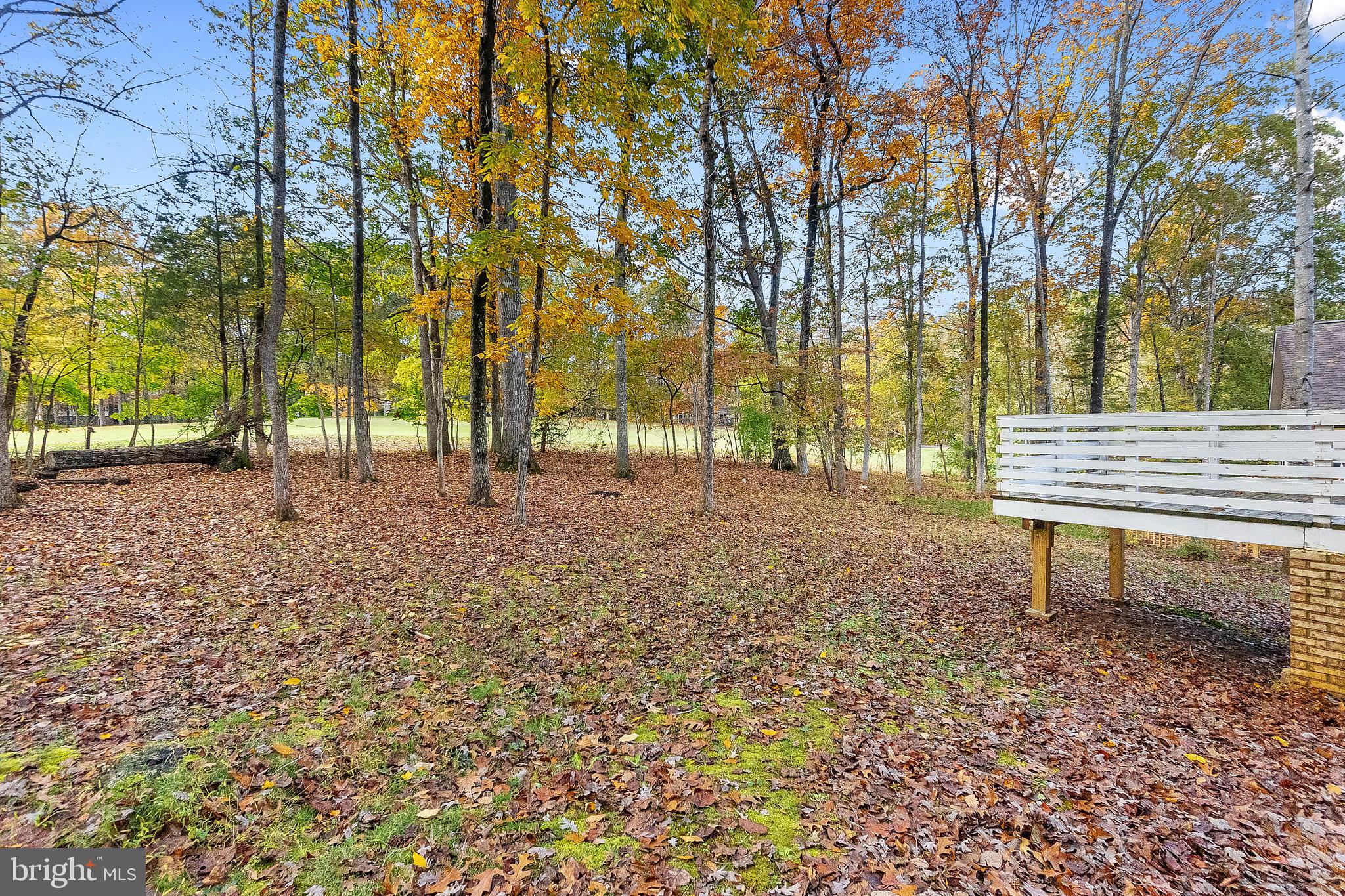 416 Birdie Road Locust Grove, VA 22508 - Photo 36 of 55