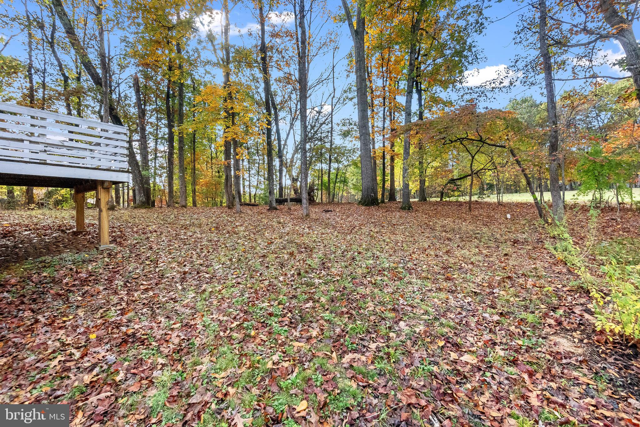 416 Birdie Road Locust Grove, VA 22508 - Photo 45 of 55