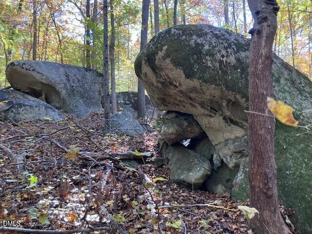9 Buttonwood Lane Roxboro, NC 27574 - Photo 5 of 7 Rocks 1