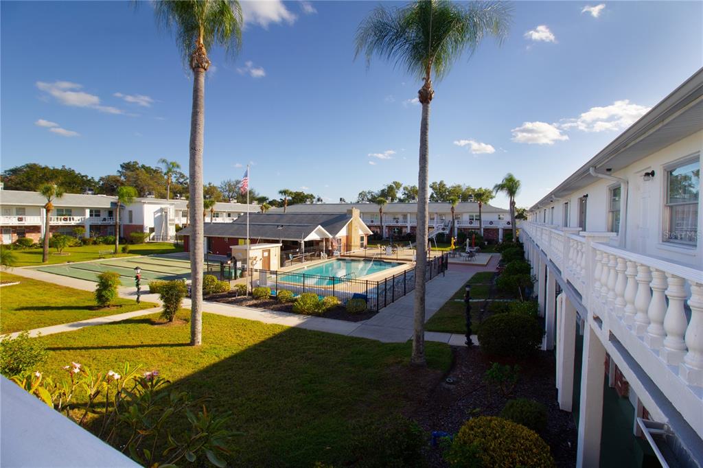 4742 Azalea Drive, Unit 203 New Port Richey, FL 34652 - Photo 11 of 32 a view of a swimming pool with a patio and a yard