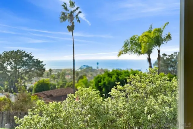a view of a flower in a yard with potted plants