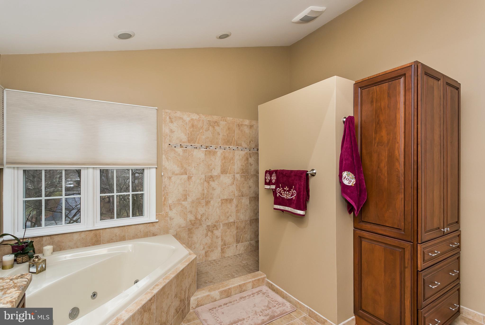 9111 Gardenia Road Baltimore, MD 21236 - Photo 19 of 30 a bathroom with a bathtub and a shower