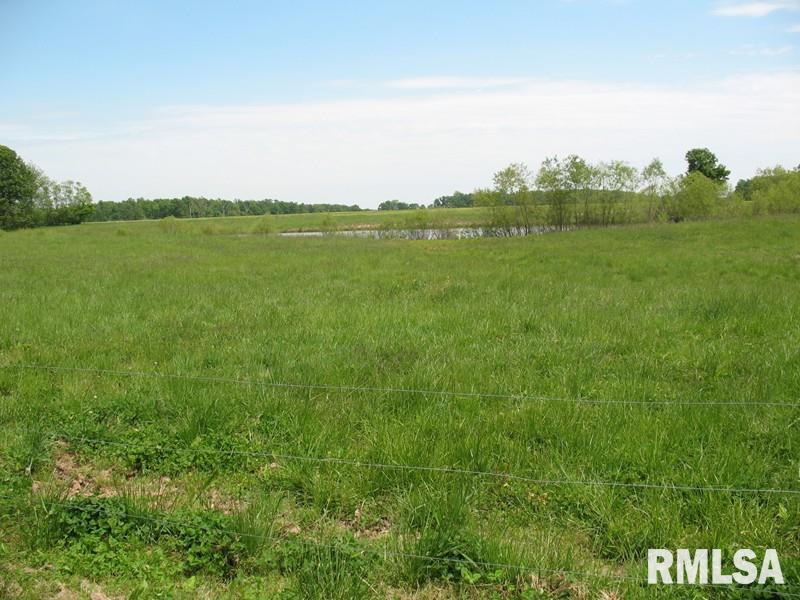 7300-block 7300-block Block Koehnke Road Iuka, IL 62849 - Photo 3 of 6 Gallery Image 3