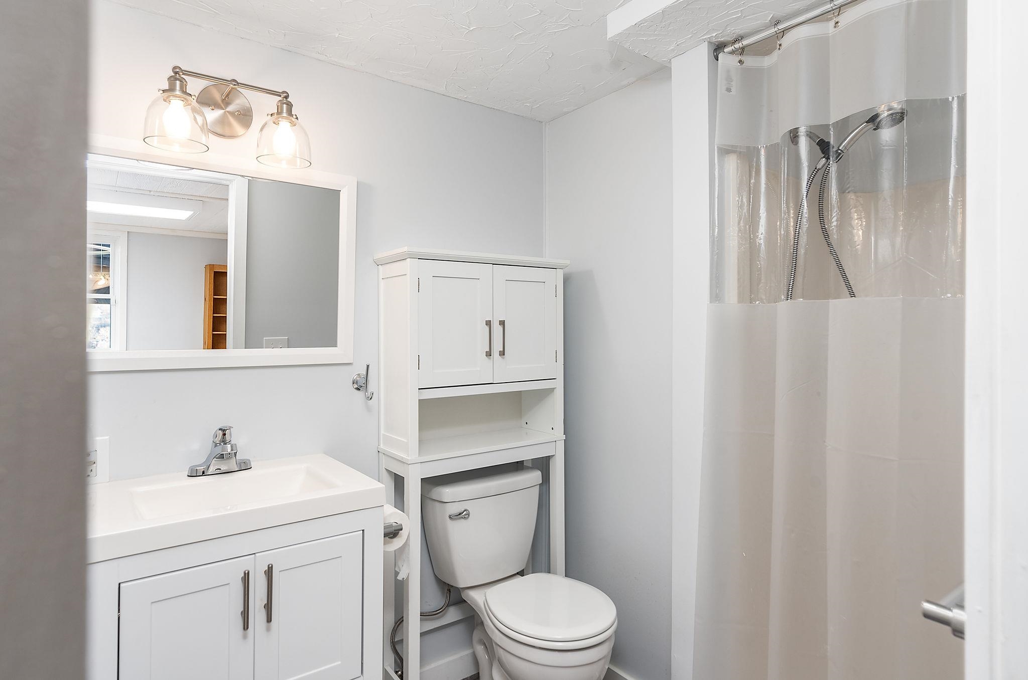 441 Barrenridge Road Fishersville, VA 22939 - Photo 46 of 71 a bathroom with a toilet sink vanity and mirror