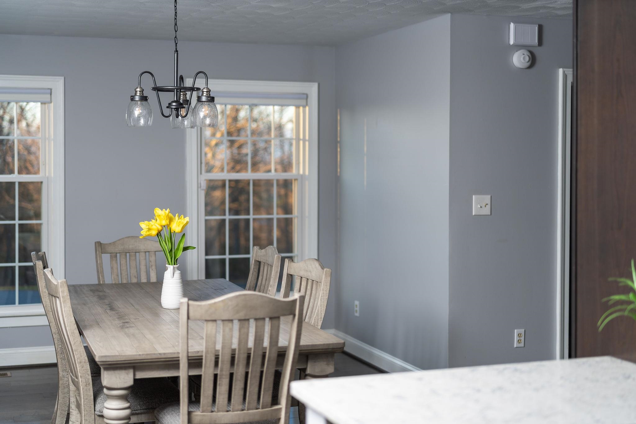441 Barrenridge Road Fishersville, VA 22939 - Photo 10 of 71 a dining room with furniture potted plants and wooden floor