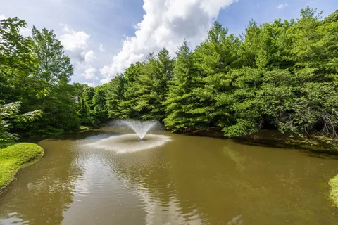 a view of a lake from a yard