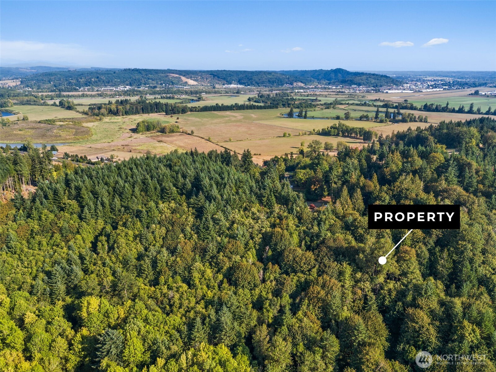 0 Eloah Way Centralia, WA 98531 - Photo 6 of 8