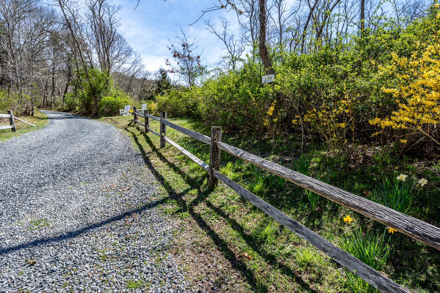 255 High Toss Road Wellfleet, MA 02667 - Photo 44 of 50 driveway1