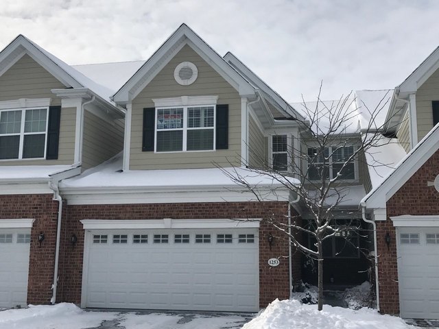1253 Falcon Ridge Drive Elgin, IL 60124 - Photo 1 of 22