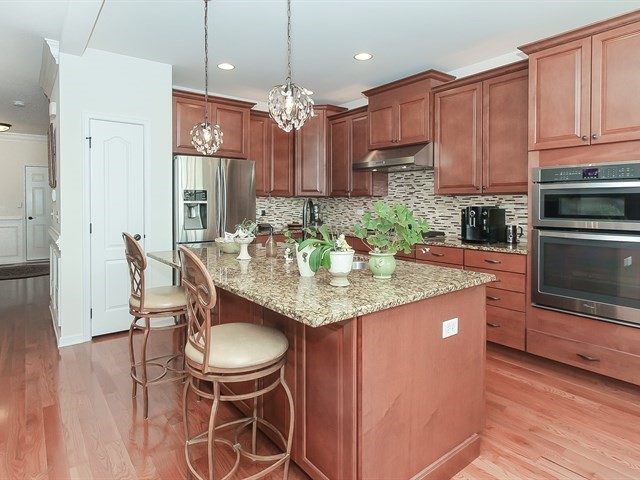 1253 Falcon Ridge Drive Elgin, IL 60124 - Photo 11 of 22